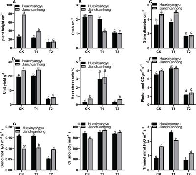 Different doses of UV-B radiation affect pigmented potatoes’ growth and quality during the whole growth period